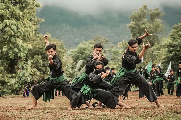 Asal Usul Pencak Silat: Seni Bela Diri Mematikan dari Nusantara