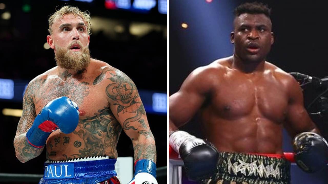 Jake Paul dan Anthony Joshua Serang Francis Ngannou Setelah Tolak Duel Besar